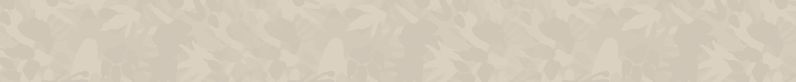 Section Background