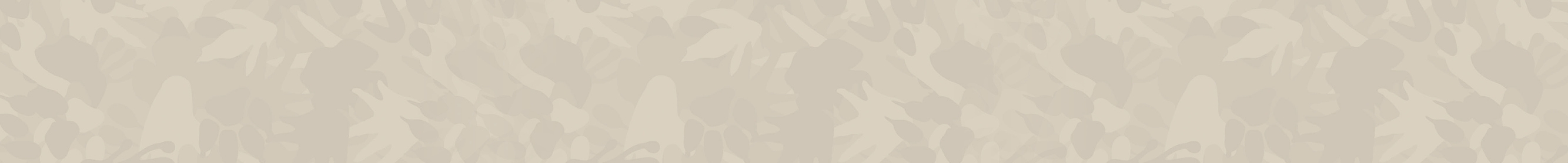 Section Background